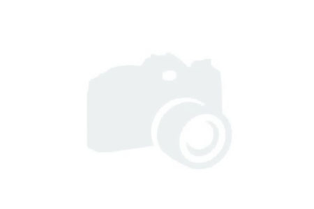 MooFinder search engine
